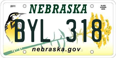 NE license plate BYL318