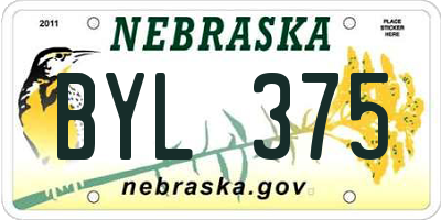 NE license plate BYL375