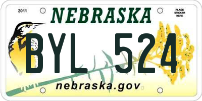 NE license plate BYL524