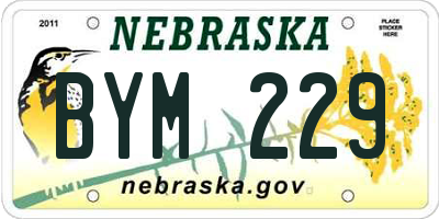 NE license plate BYM229