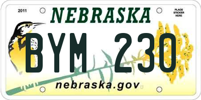 NE license plate BYM230