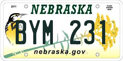 NE license plate BYM231