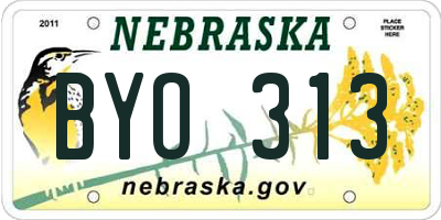 NE license plate BYO313