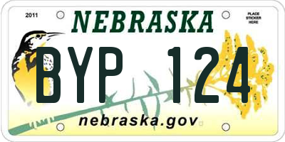 NE license plate BYP124