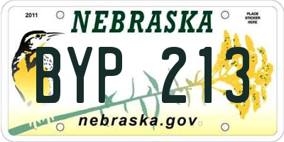 NE license plate BYP213