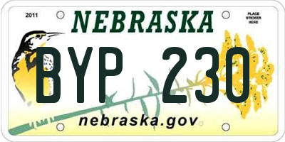 NE license plate BYP230