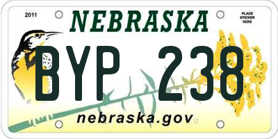 NE license plate BYP238