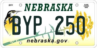 NE license plate BYP250