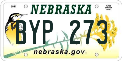 NE license plate BYP273