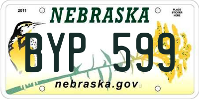 NE license plate BYP599