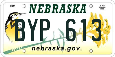 NE license plate BYP613