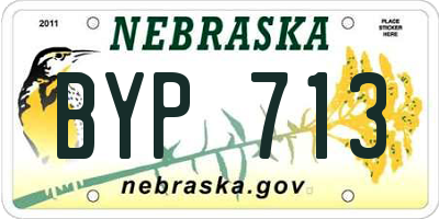 NE license plate BYP713