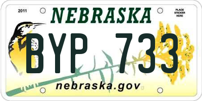 NE license plate BYP733