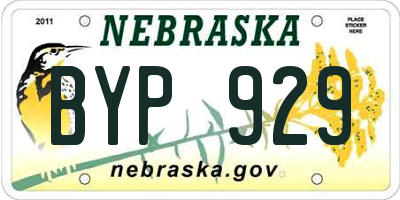 NE license plate BYP929