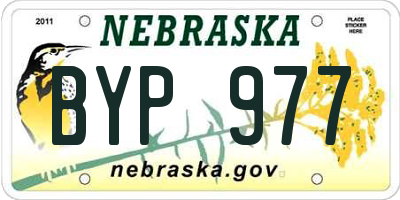 NE license plate BYP977