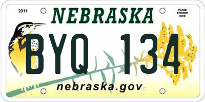 NE license plate BYQ134