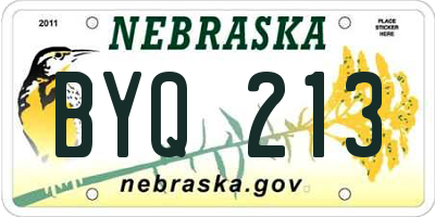 NE license plate BYQ213