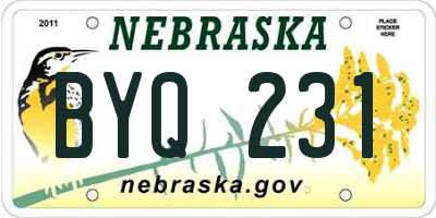 NE license plate BYQ231