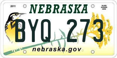 NE license plate BYQ273