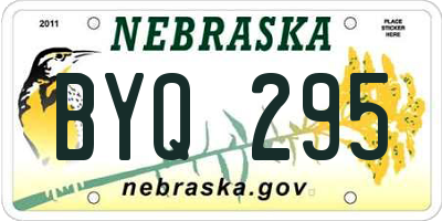 NE license plate BYQ295