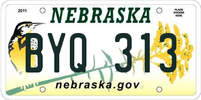 NE license plate BYQ313