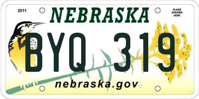 NE license plate BYQ319