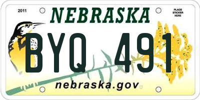 NE license plate BYQ491