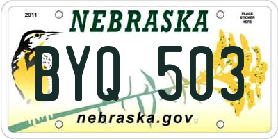 NE license plate BYQ503