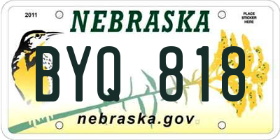 NE license plate BYQ818