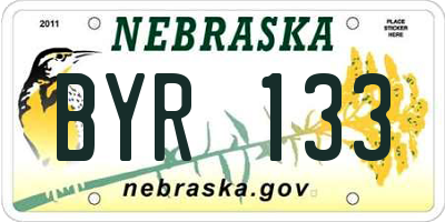 NE license plate BYR133