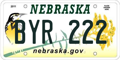 NE license plate BYR222