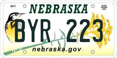 NE license plate BYR223