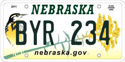 NE license plate BYR234