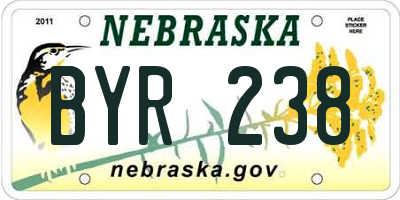 NE license plate BYR238