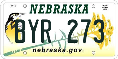 NE license plate BYR273