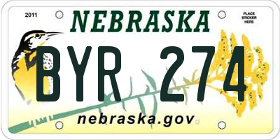 NE license plate BYR274