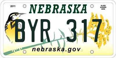 NE license plate BYR317