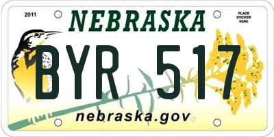 NE license plate BYR517