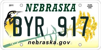 NE license plate BYR917