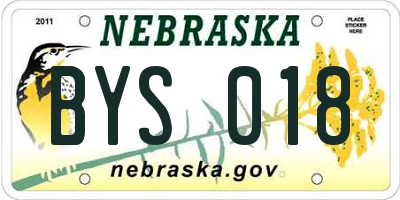 NE license plate BYS018
