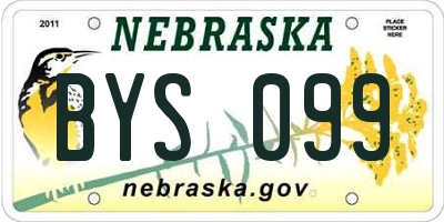 NE license plate BYS099