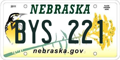 NE license plate BYS221