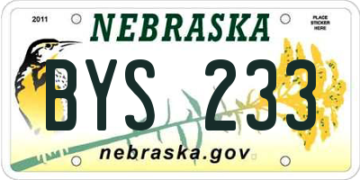 NE license plate BYS233