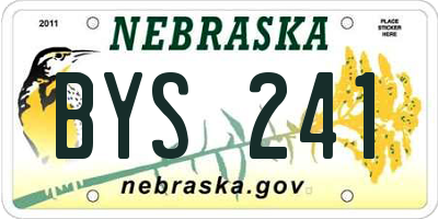 NE license plate BYS241