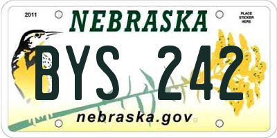 NE license plate BYS242