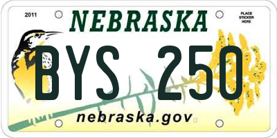 NE license plate BYS250
