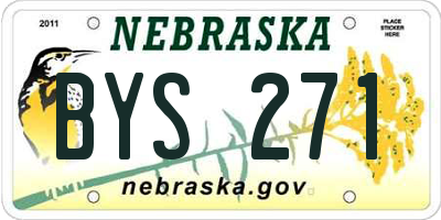 NE license plate BYS271