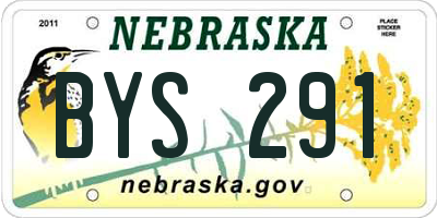 NE license plate BYS291