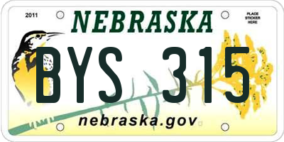 NE license plate BYS315