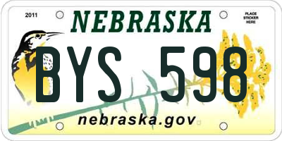 NE license plate BYS598